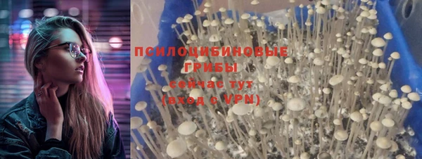 гашик Алексеевка