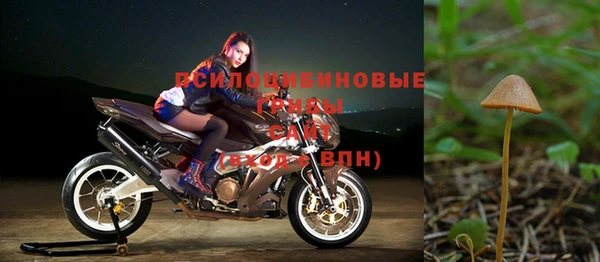 ALPHA-PVP Касимов