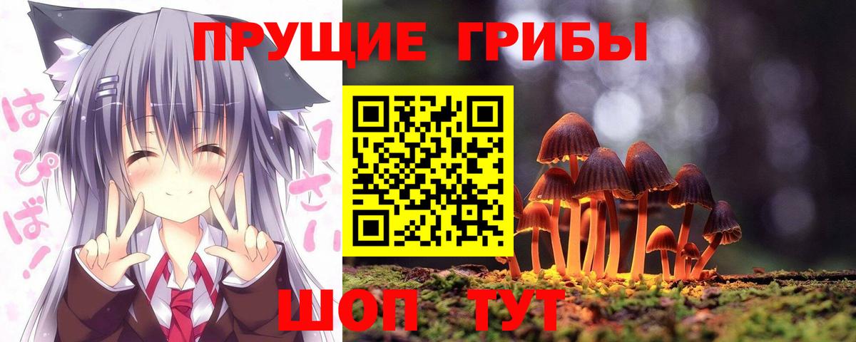 Псилоцибиновые грибы Psilocybe  купить   Копейск  Вход с VPN 